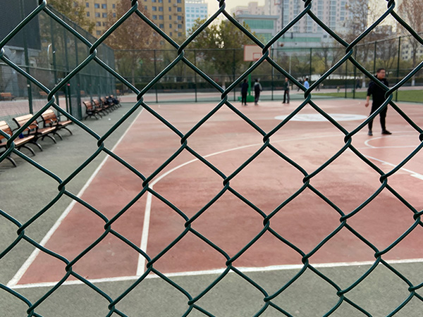 体育场围栏 - 河北腾佰丝网制品有限公司图片3