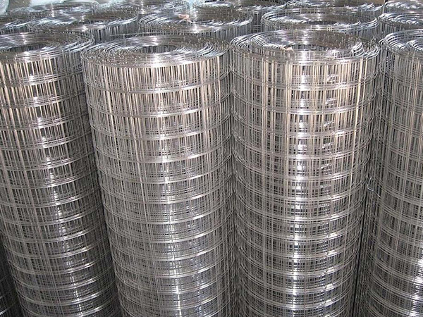 不锈钢网 - 河北腾佰丝网制品有限公司图片2