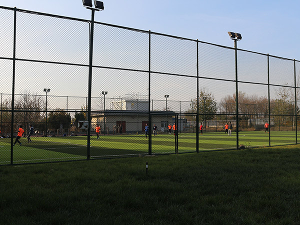 球场围栏 - 河北腾佰丝网制品有限公司图片5