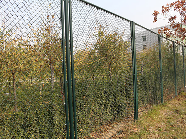 球场围栏 - 河北腾佰丝网制品有限公司图片6